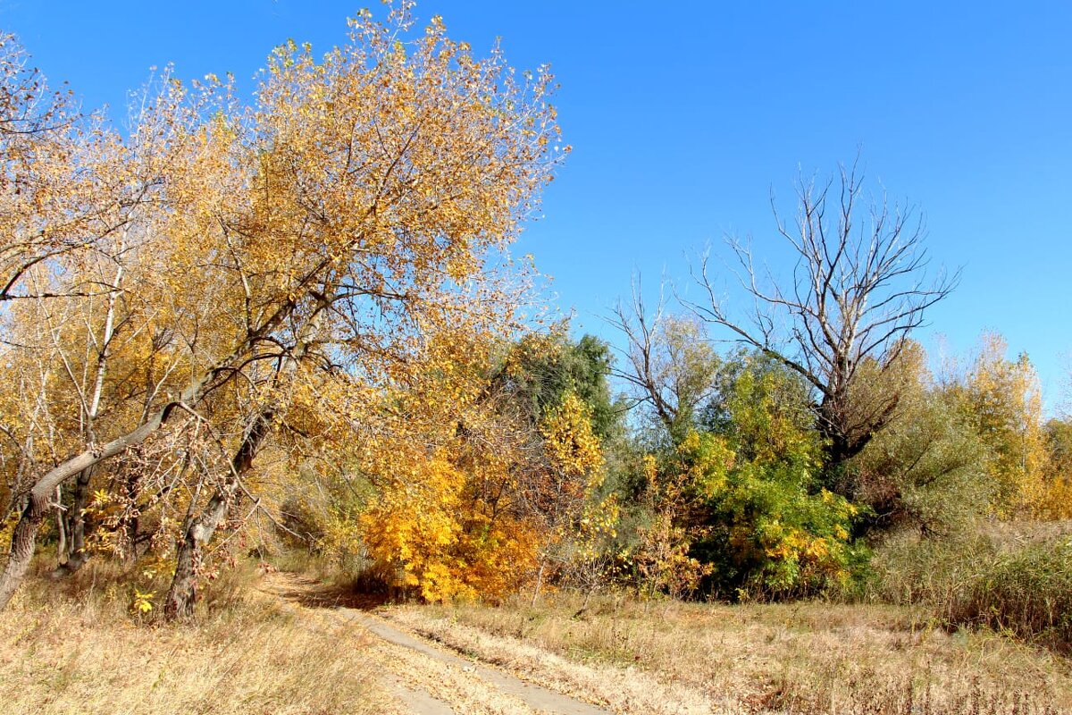 Какое небо голубое... - Олегъ Петрович