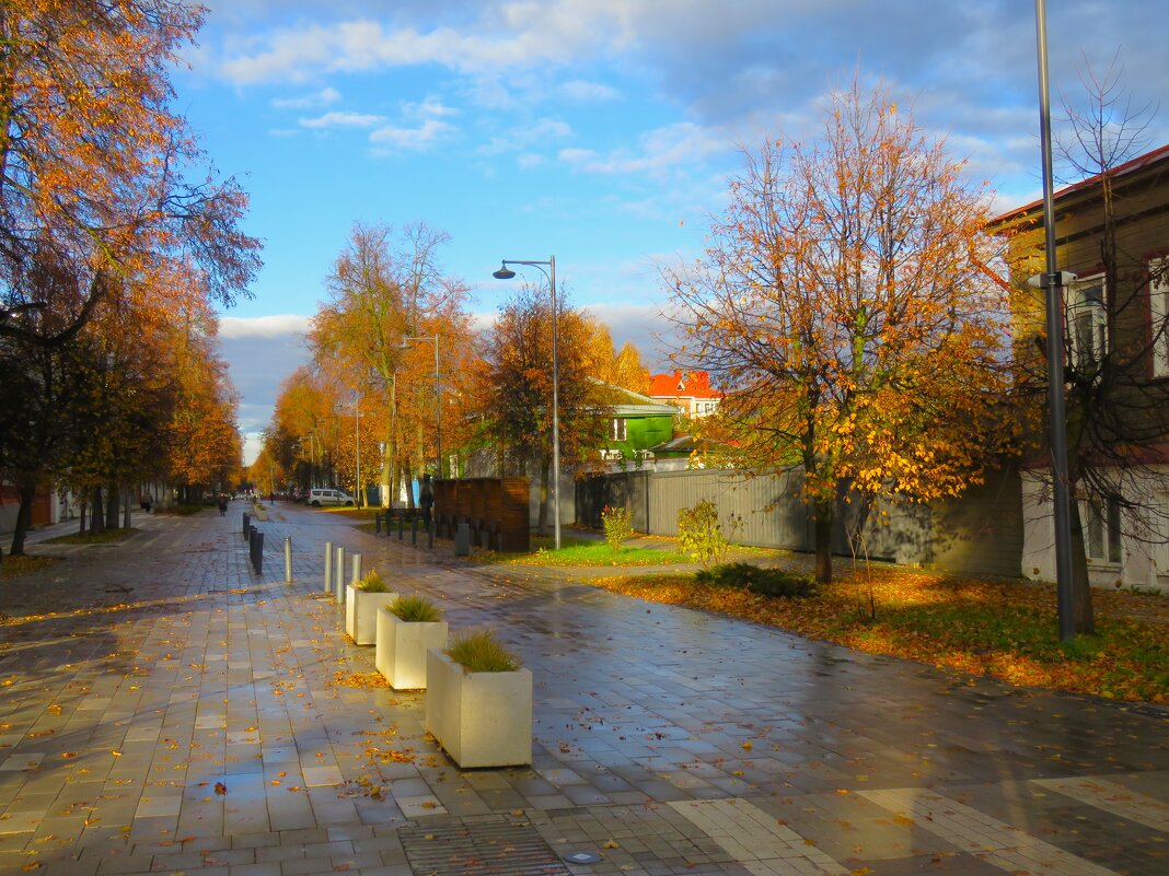осень в городе - НАТАЛЬЯ 