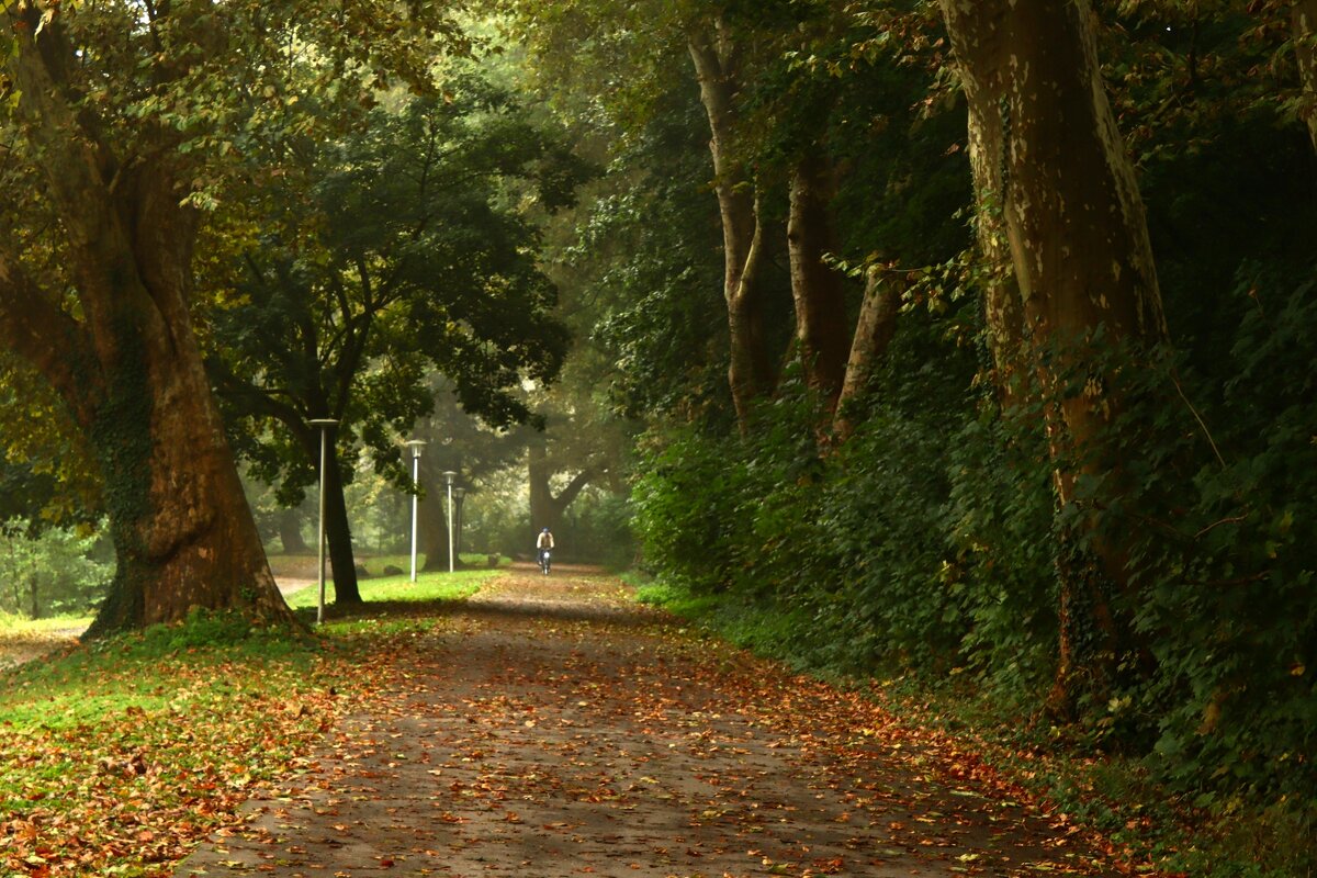 Одинокий велосипедист - Юрий. Шмаков