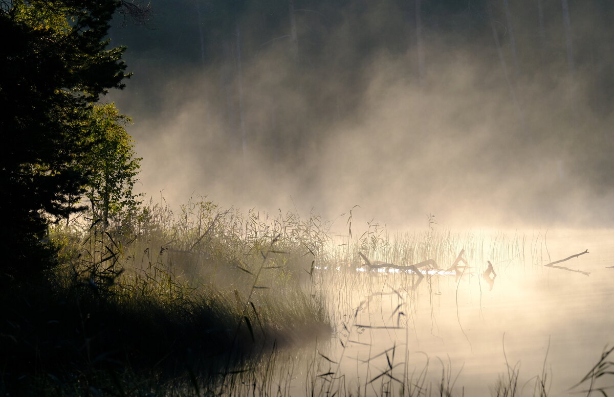 Там за туманами ... - Андрей Зайцев Там за туманами ... - Андрей Зайцев
