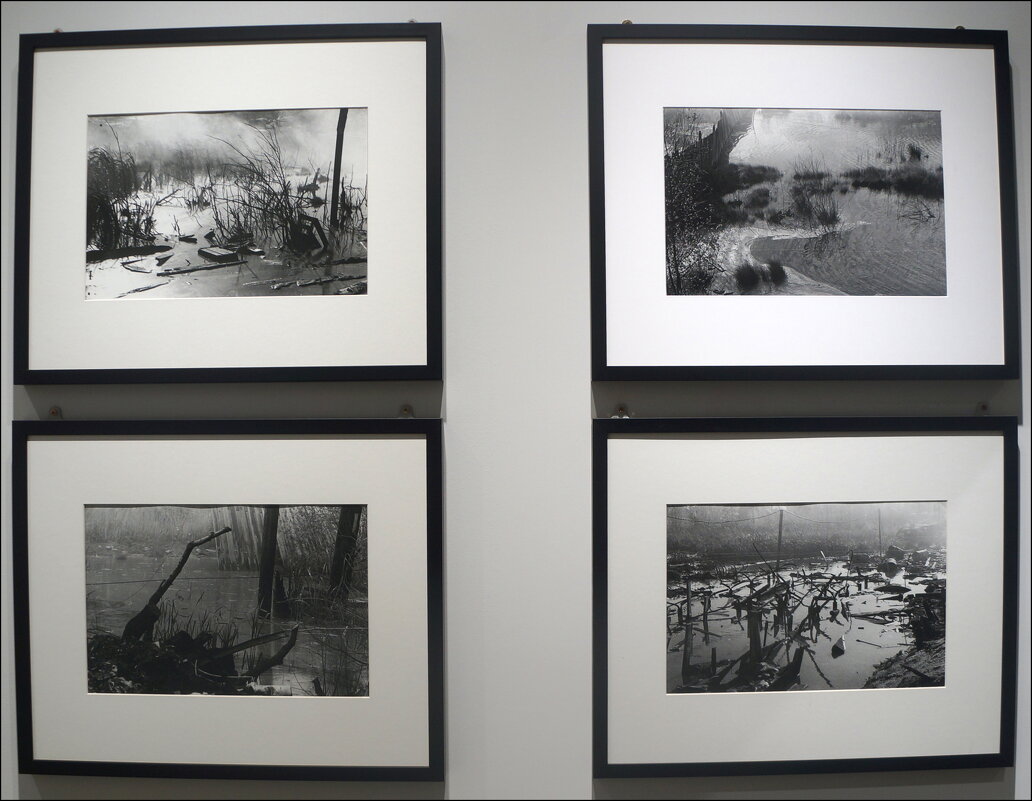 Лев Звягин / из цикла "Сталкер" / 1978 г. - zavitok *