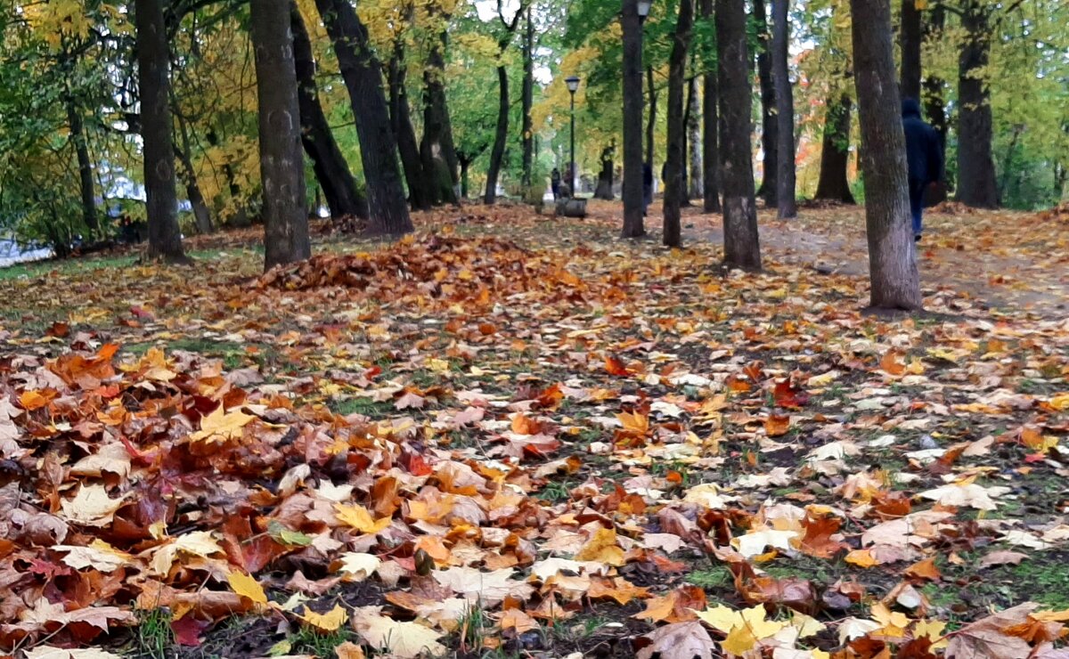 Октябрь - Наталья Герасимова