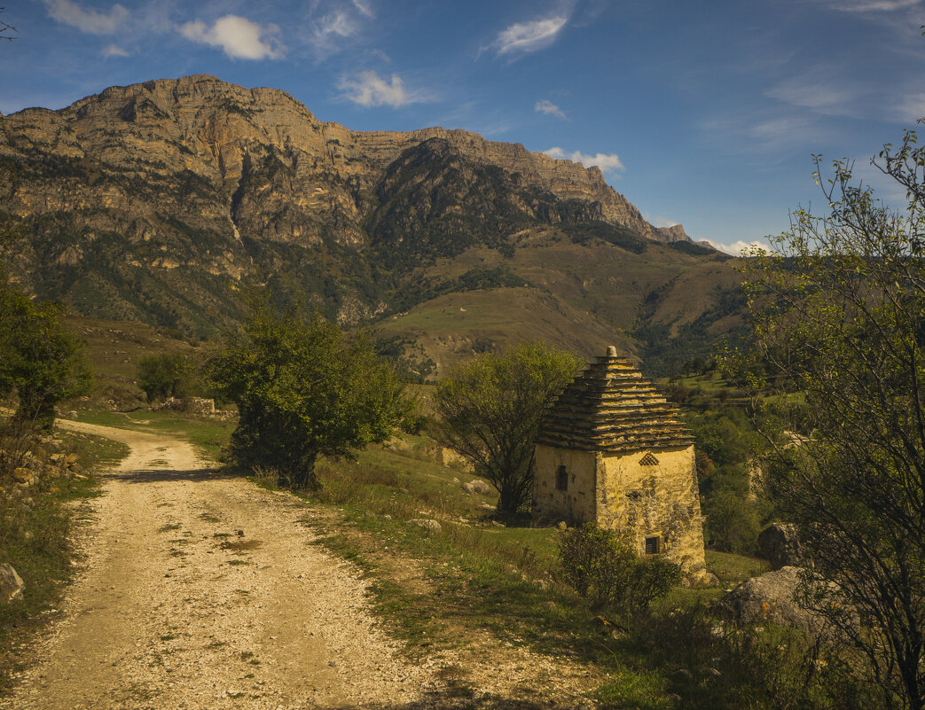 город мертвых - Сергей Бабанов