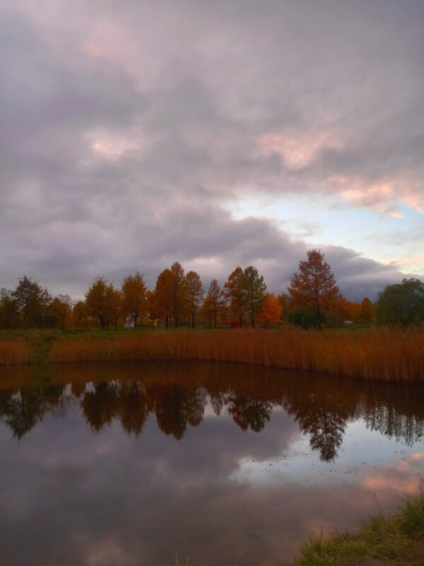 Закат - Сапсан 