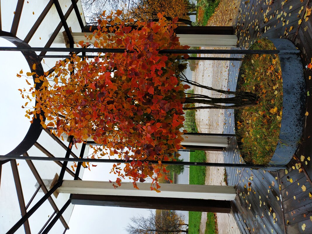 Закрытие велосезона (завтра - операция по удалению пластины из руки) - Андрей Лукьянов