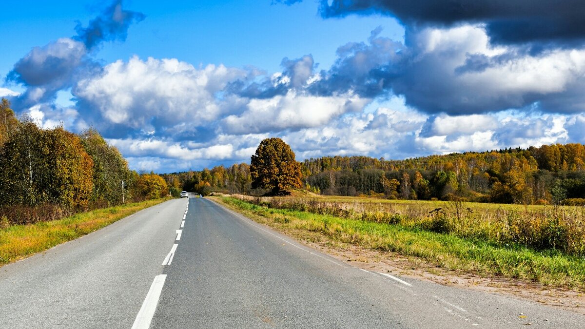 По дорогам Смоленщины. - Милешкин Владимир Алексеевич 