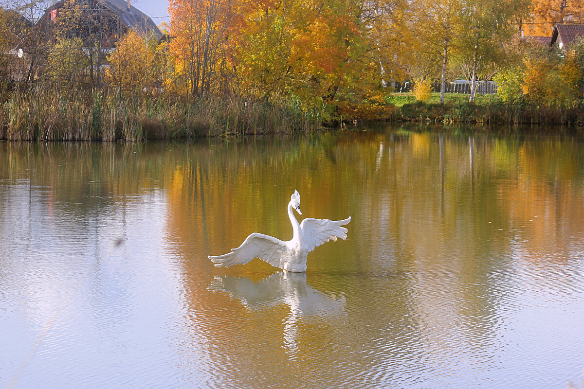 Осенний день - Сергей Кочнев