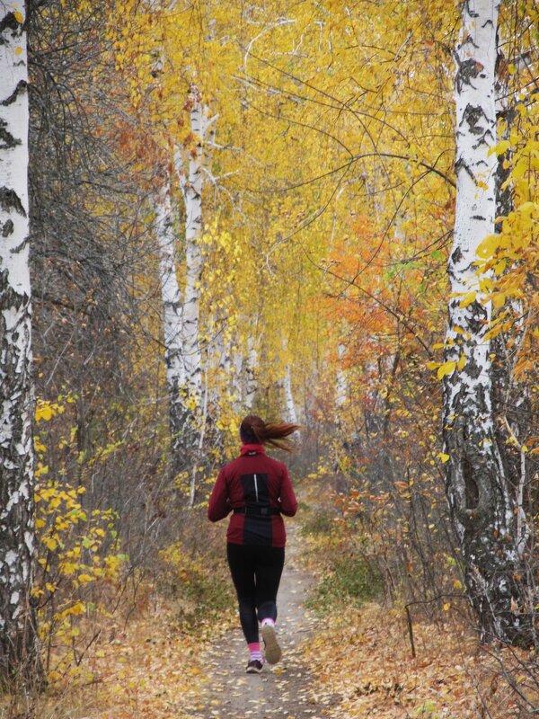 ЗОЖ - Елена Шаламова
