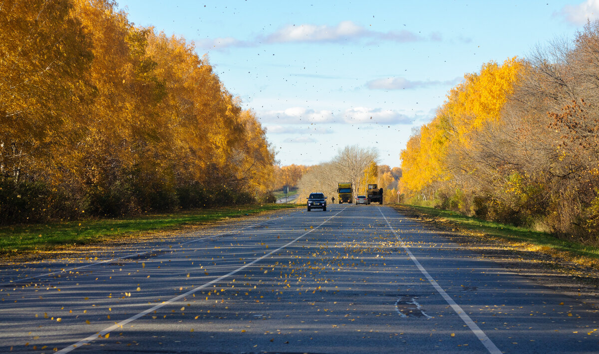 Осень - Владимир Иванович