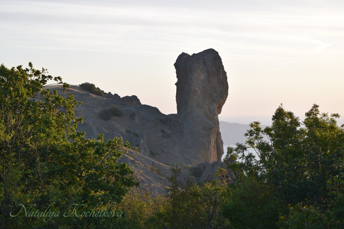 Природа Крыма - Amazing Cosmea