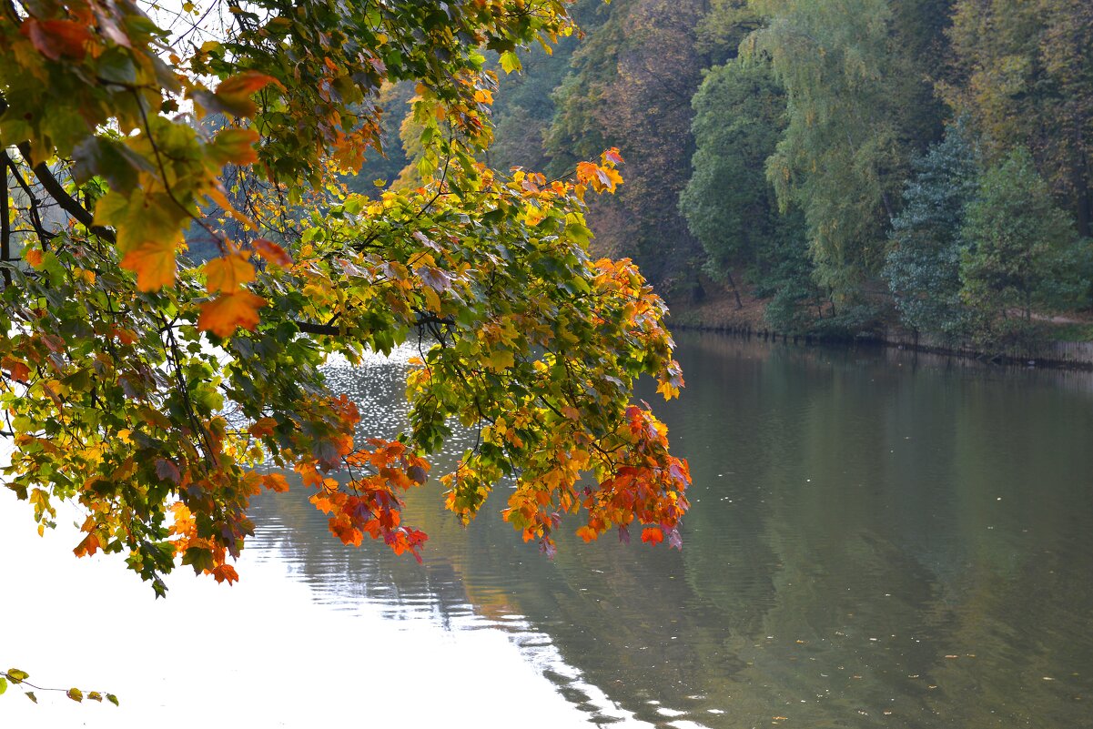 Осень в усадьбе Царицыно - Константин Анисимов