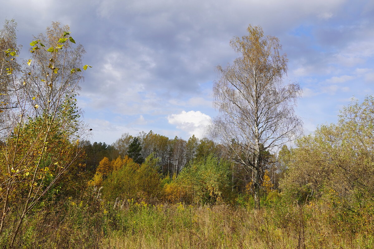 Вот и осень... - Галина Кан