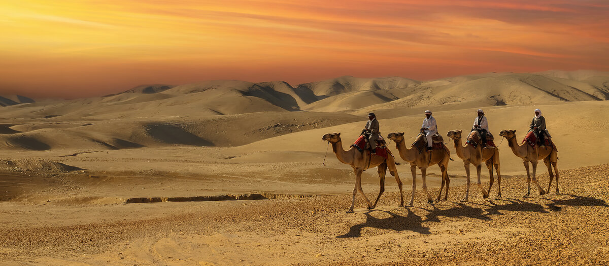 Корабли пустыни - Valentin Bondarenko