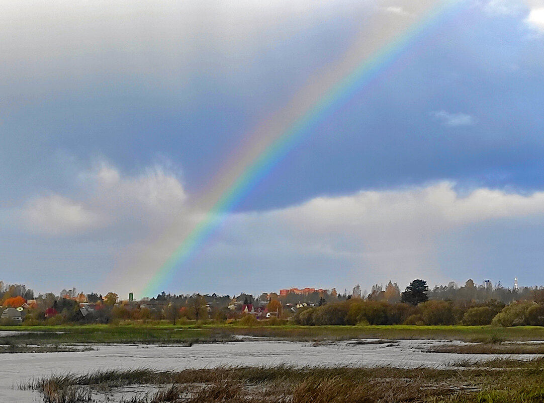 *** - gawrilа - dan