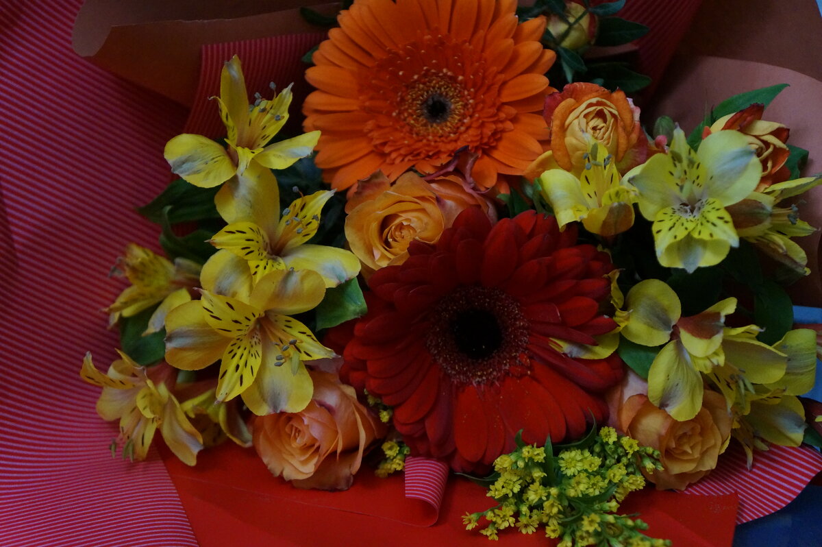 * * * * * - Алёна Савина * * * * * - Алёна Савина