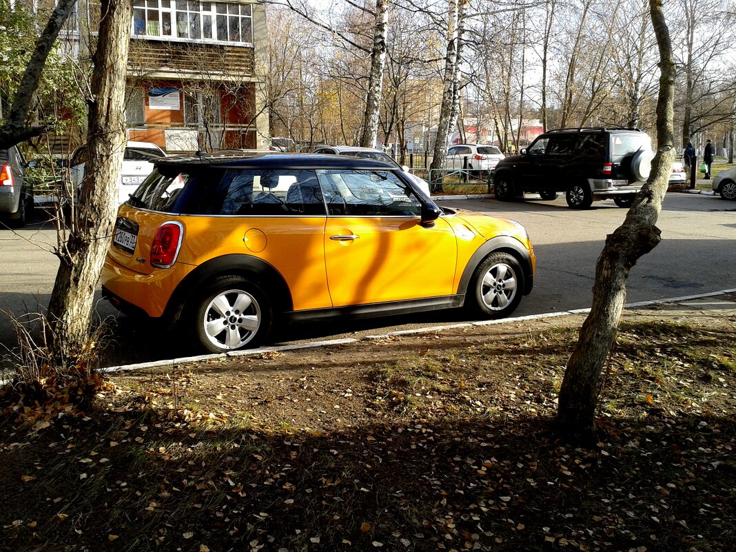 осень - Владимир 