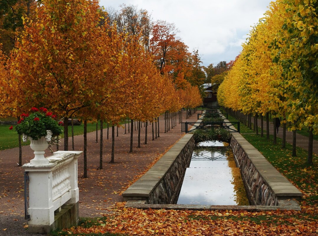 Золотая осень в парке Кадриорг - Aida10 
