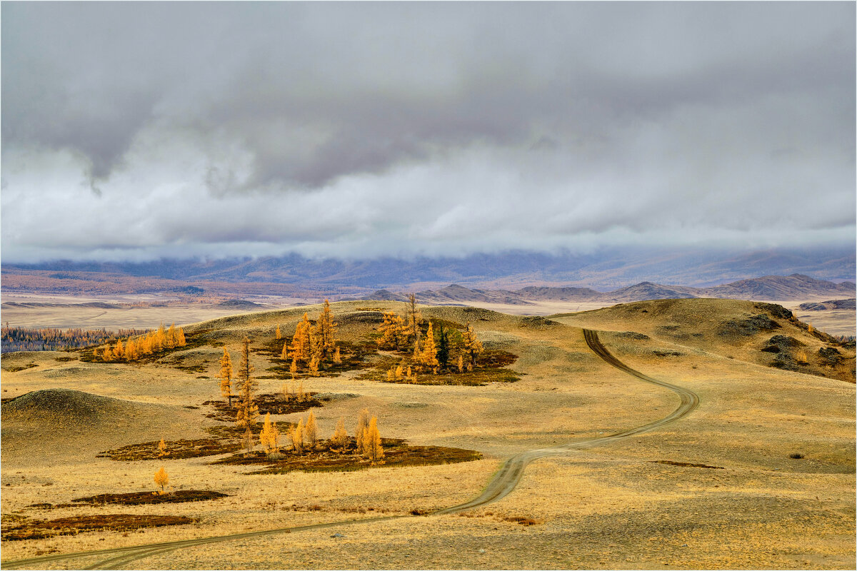 *** - Алексей Мезенцев