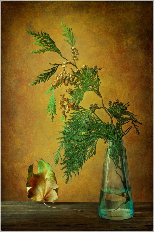 Ветка туи... - Oleg Rastorguev