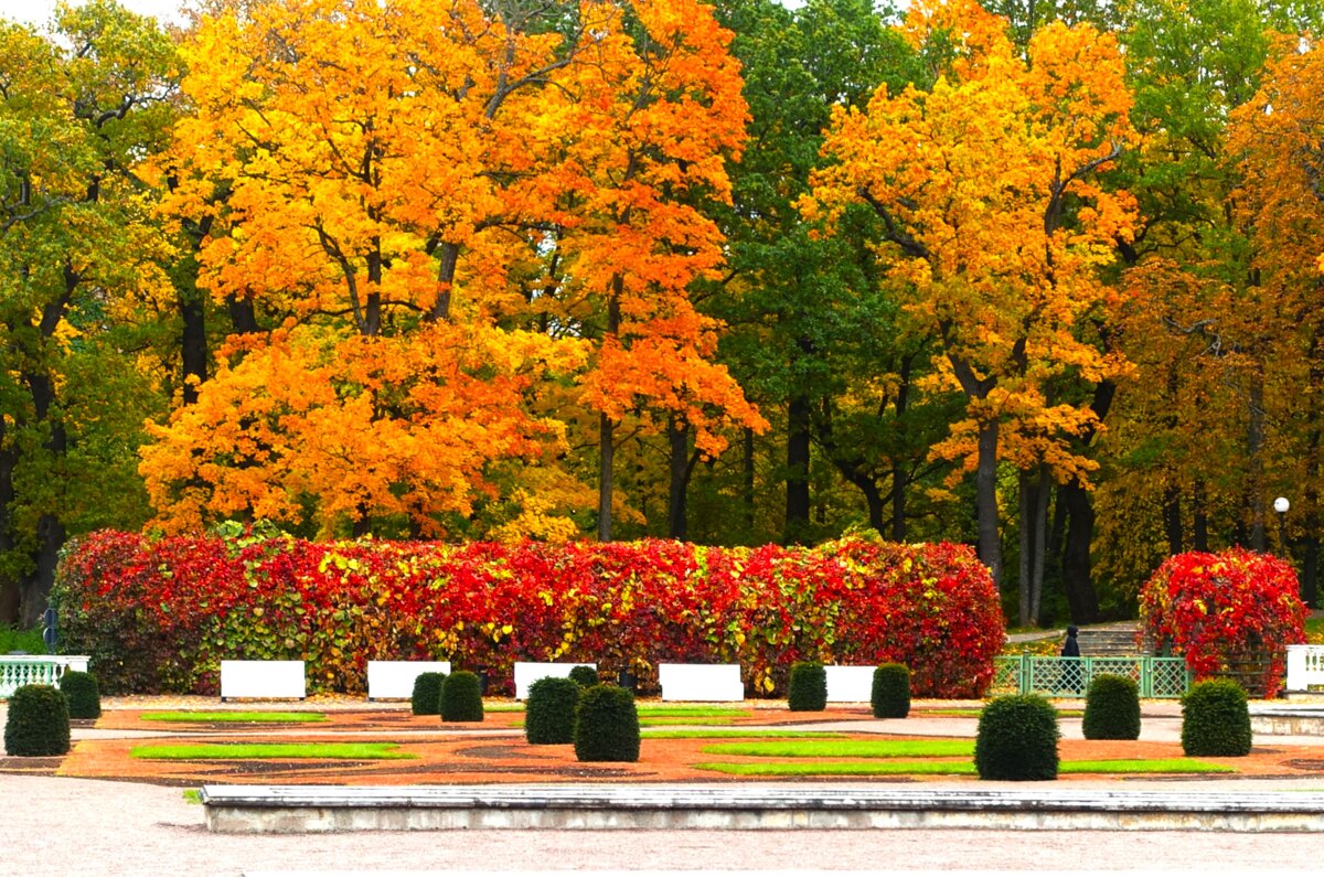 Золотая осень в Верхнем (Цветочном) парке - Aida10 