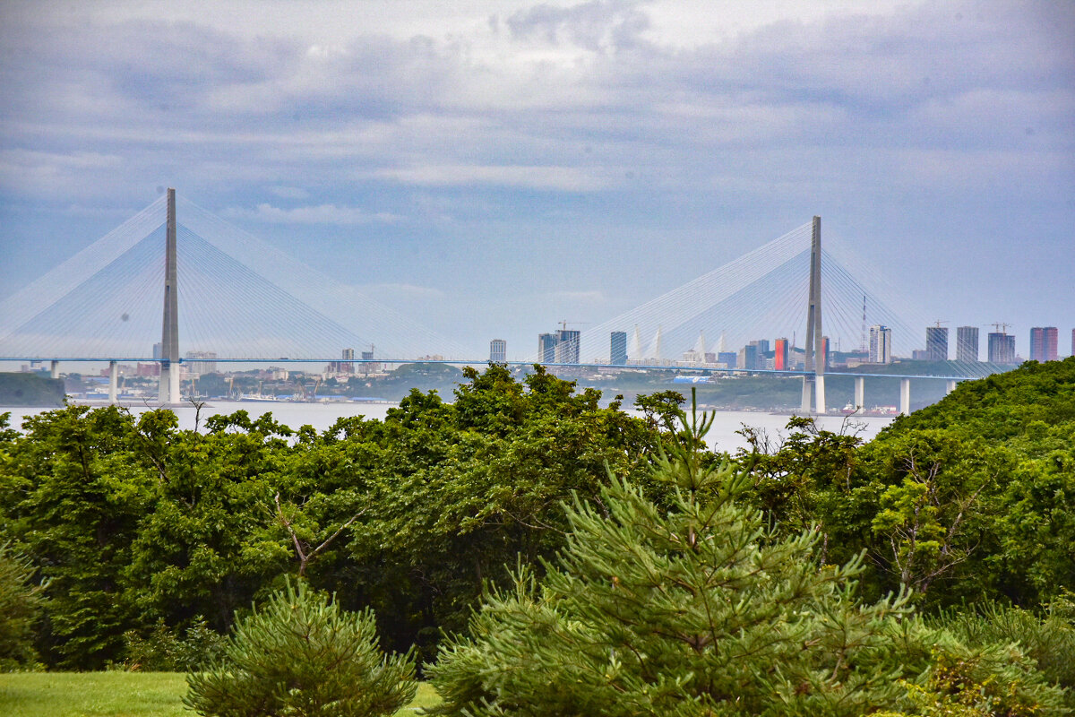 Владеть Востоком - Grishkov S.M.