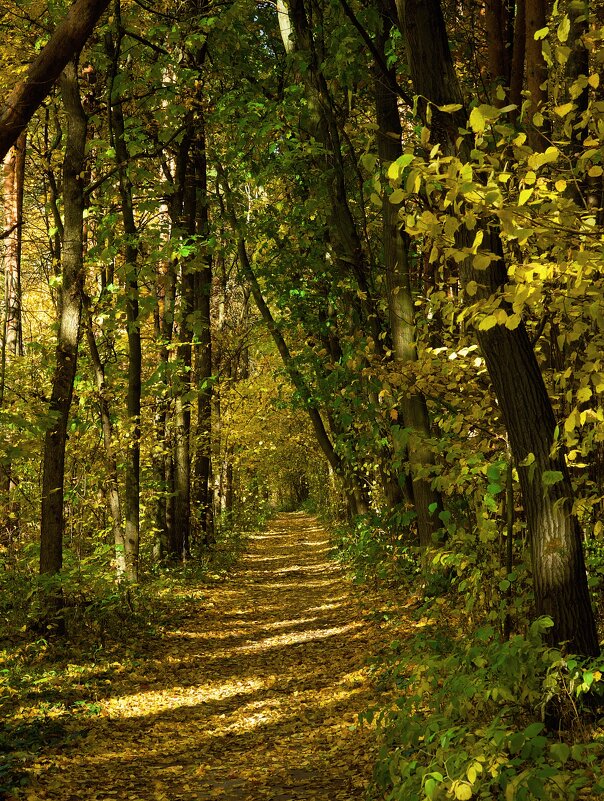 Осень.... - Олег Алексеев