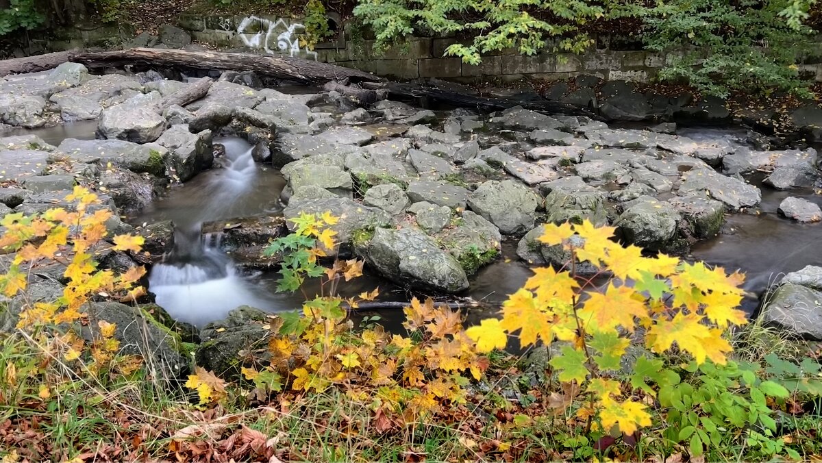 Поит осень ручей за околицей Проливным серо-хмурым дождём. - "The Natural World" Александер Поит осень ручей за околицей Проливным серо-хмурым дождём. - "The Natural World" Александер
