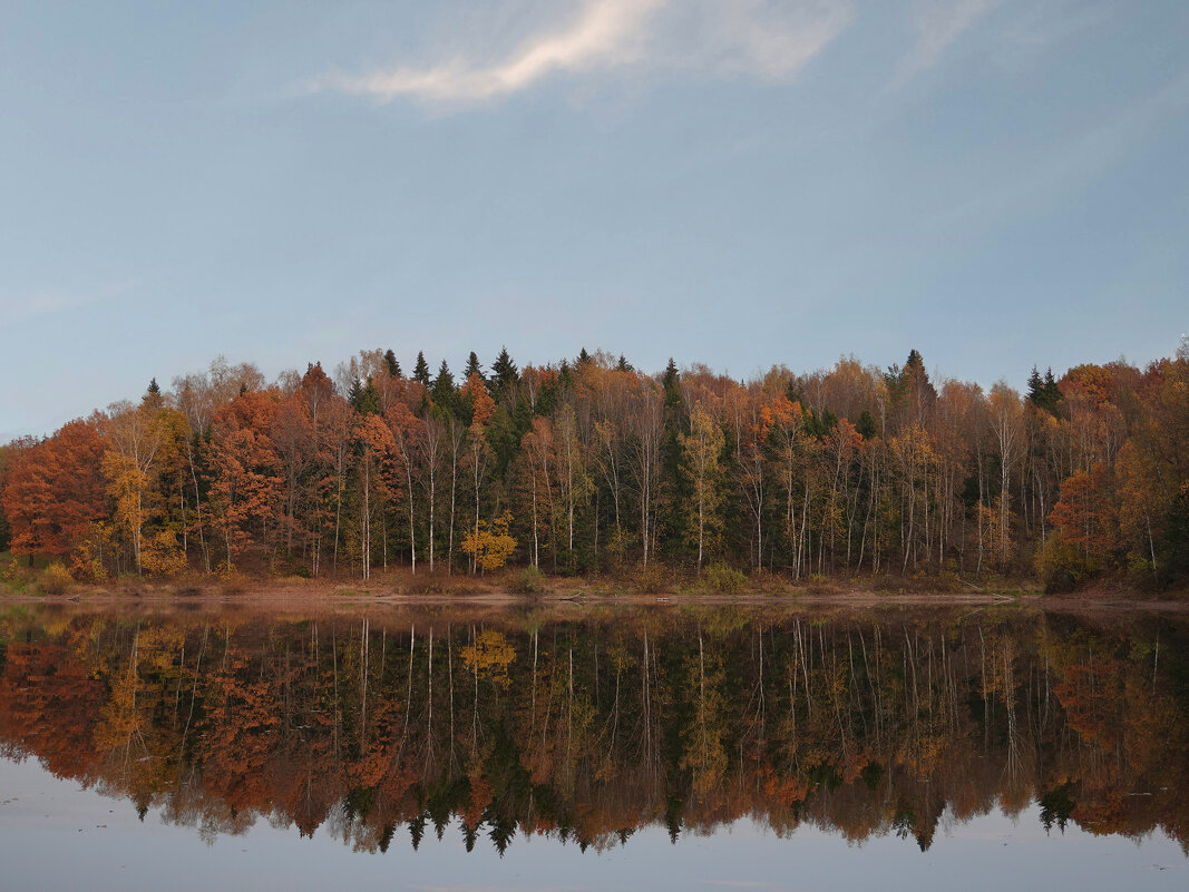 *** - Денис Бочкарёв