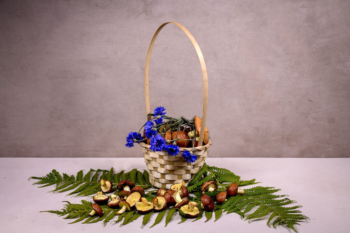 Маслята - Людмила Павловна Крышковец