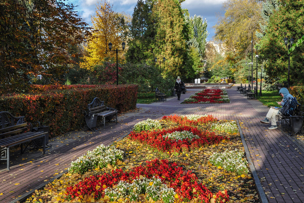 Осенние цветы последние - Татьяна Машошина