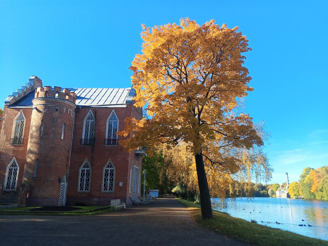 Осень - Сапсан 