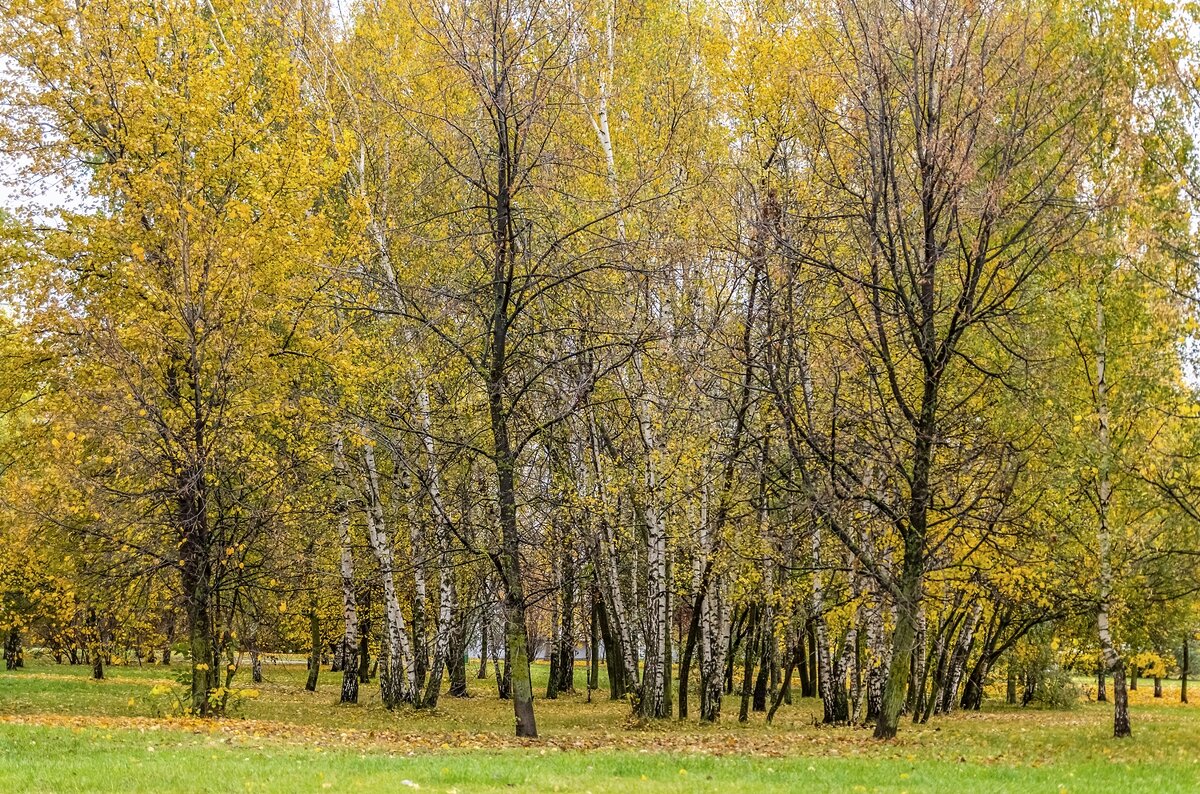 В городском сквере - Валерий Иванович