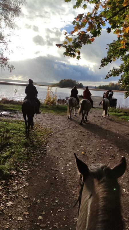 Верхом к шхерам Выборгского залива. - Ольга 