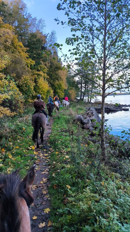 По берегу Выборгского залива. - Ольга 