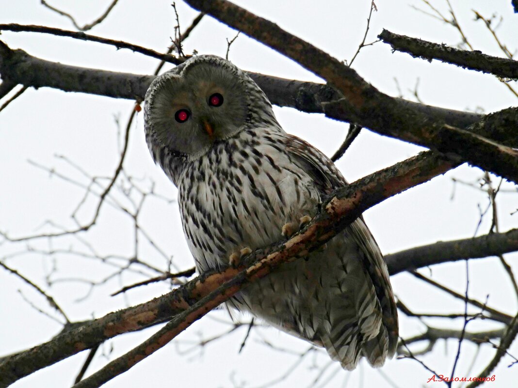 А вы что-тут делаете?  :-) - Андрей Заломленков