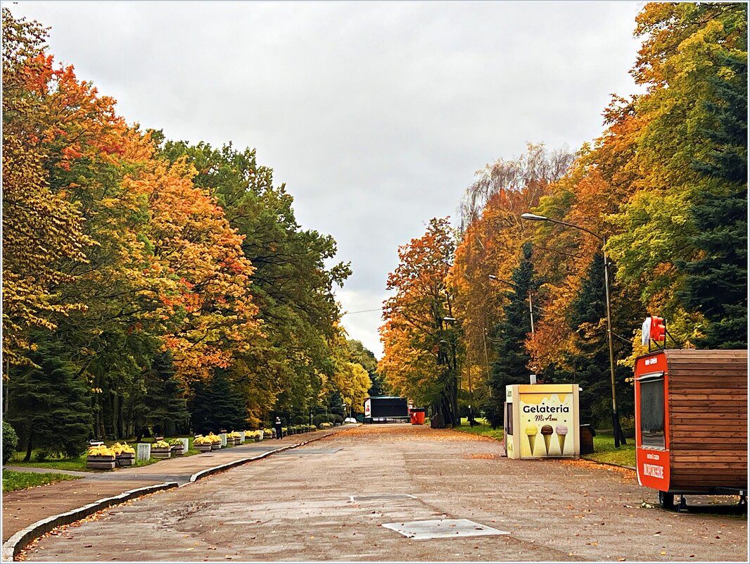 Осенний парк. - Валерия Комова