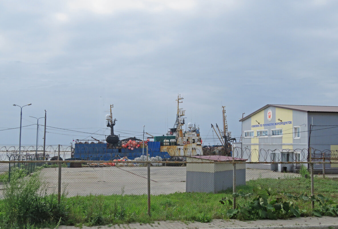 Прогулка по Невельску - ИРЭН@ . Прогулка по Невельску - ИРЭН@ .