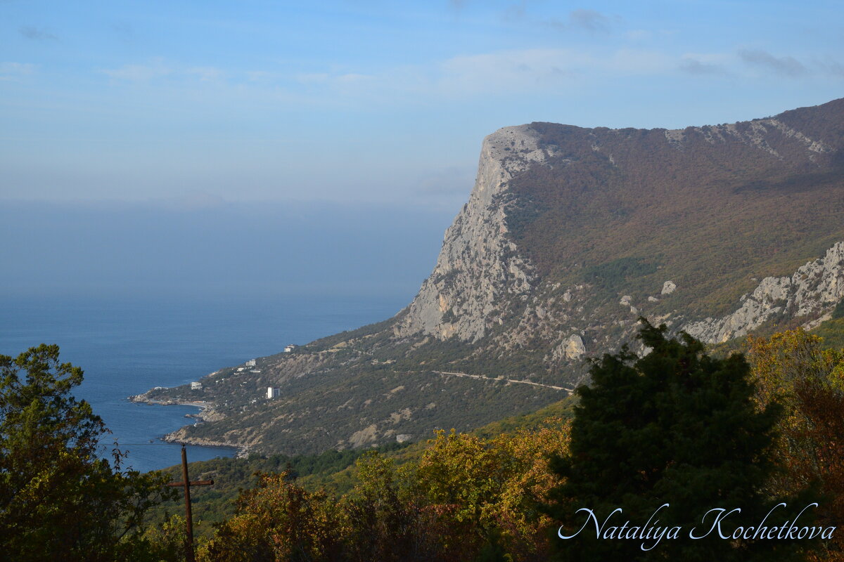 Природа Крыма - Amazing Cosmea