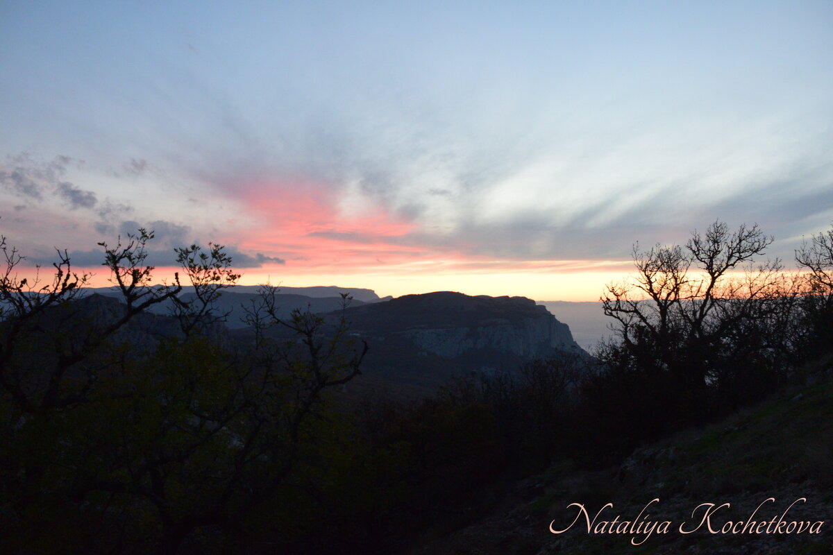 Природа Крыма - Amazing Cosmea