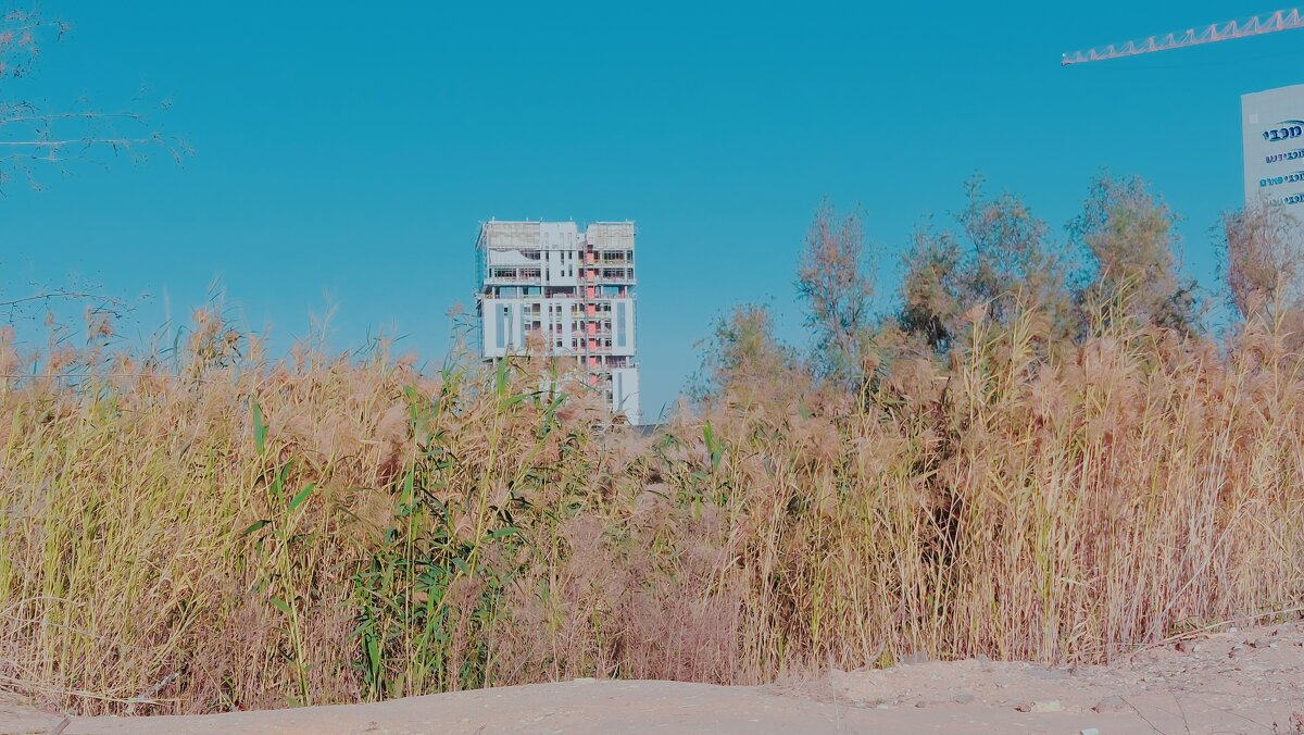 13  ОПЕН (517) - OPEN WAYS ALL