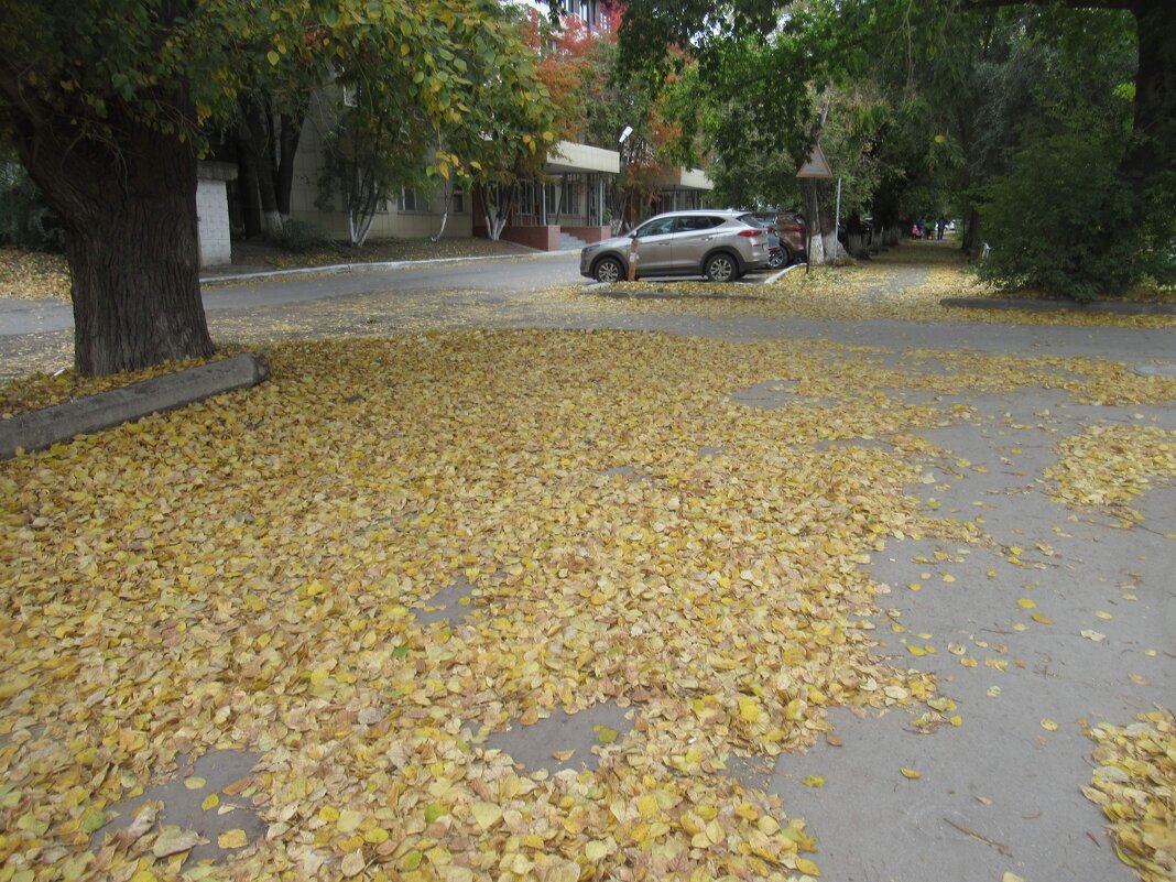 Осень в городе - Андрей Макурин Осень в городе - Андрей Макурин