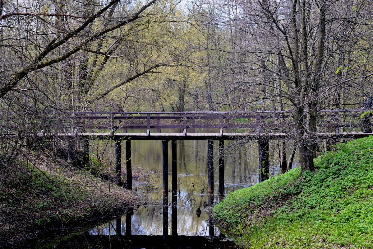 Кузьминский парк - Игорь Белоногов Кузьминский парк - Игорь Белоногов