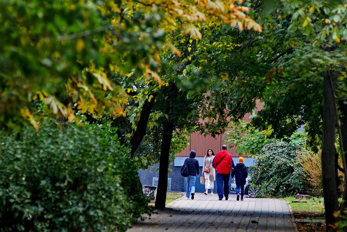 *** - Николай Саржанов