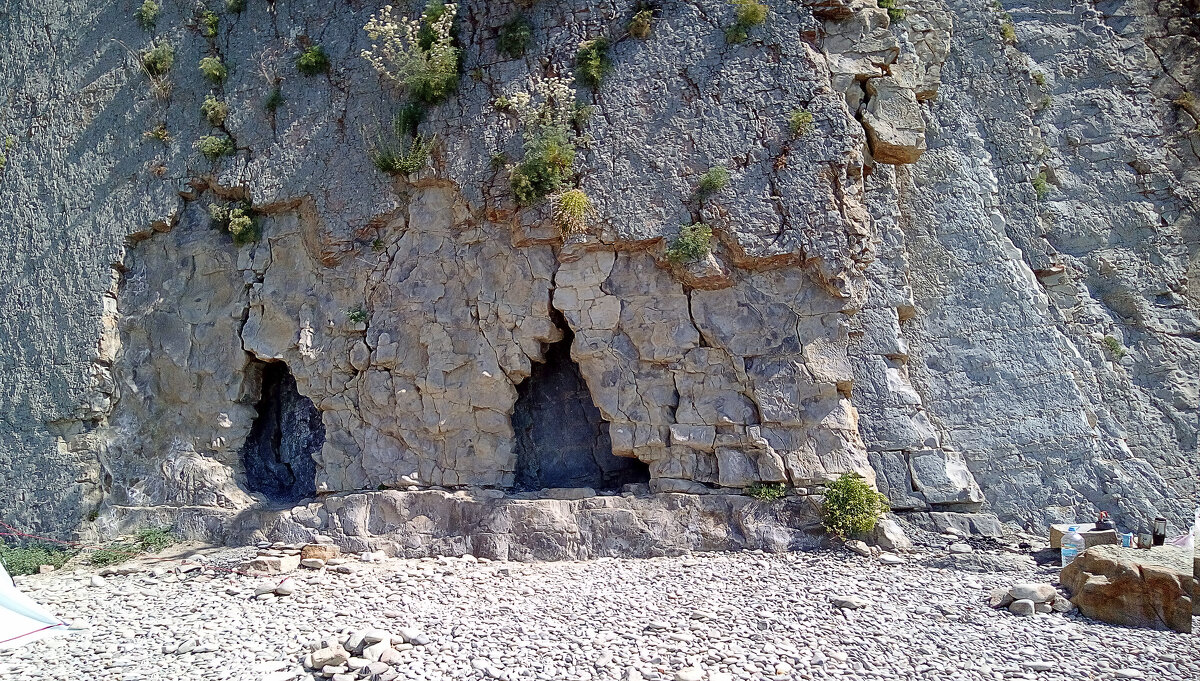 Мышиные норы - Андрей Щетинин