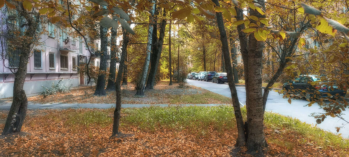 Петербургские дворики. - Лилия *