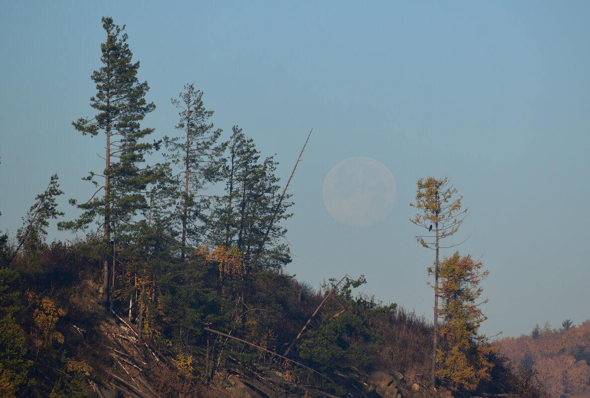 Луна склонилась на закате, прозрачной дымкой в тишине... - Арсений 