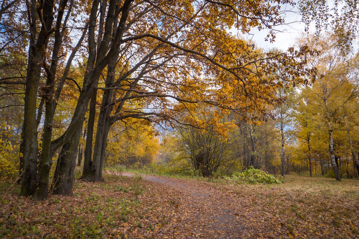 Это осень - Олег Дорошенко