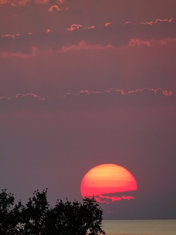 Вечер - Павел Трунцев