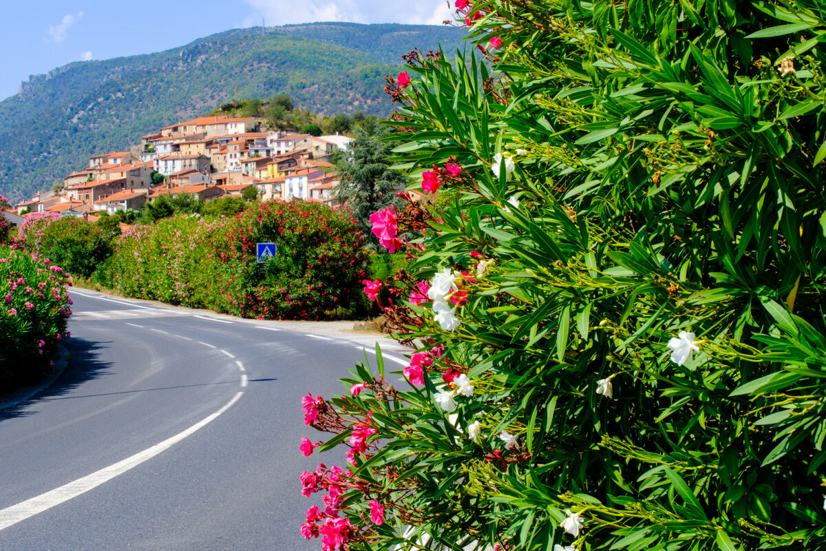 деревня Еус - Георгий А деревня Еус - Георгий А