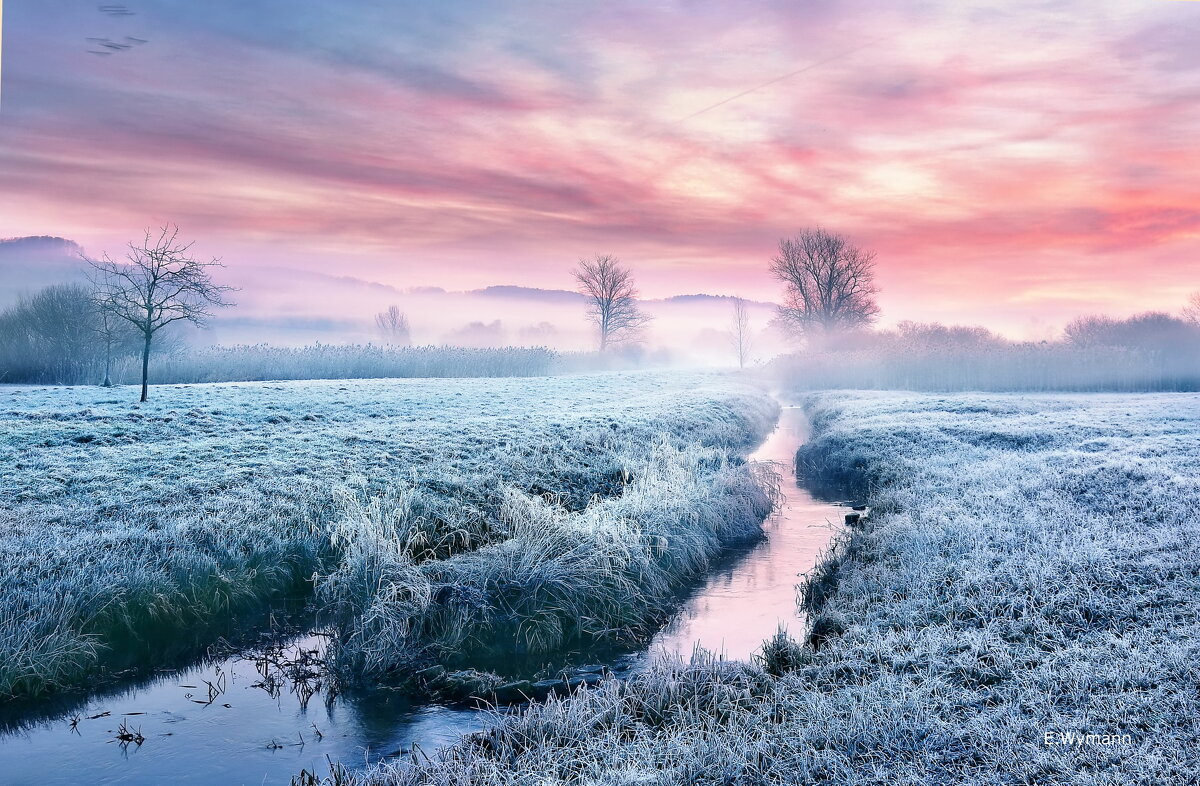 misty morning - Elena Wymann